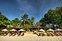 Beach chairs and palm trees